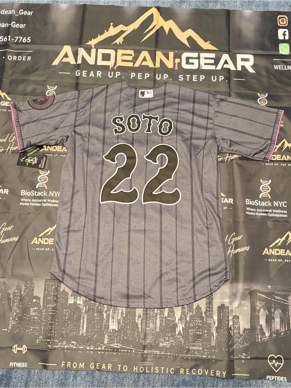 Nike Gray Pinstripe Men's Baseball Jersey Soto #22